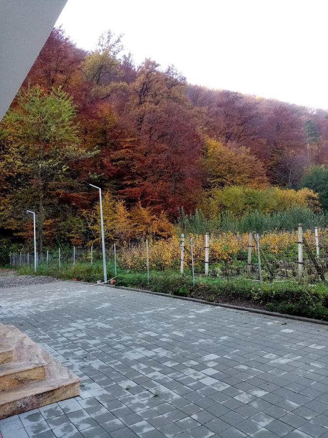 Livada Amely Hotel Gales Exterior foto